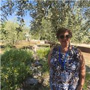 Terapias psicopedagógicas, seguimiento escolar , enseñanza en la lectura y la escritura